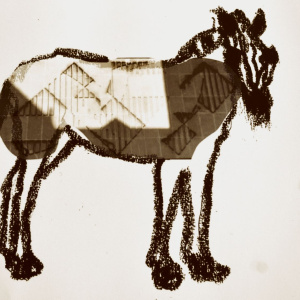 4-GT-Anne-De-Bretagne-Métissage-Zèbre-Adrien-Achille-Lyu-Lomig-Octave-3M.JPG 2