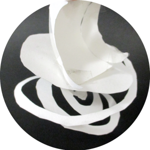 MARSUPILAMI-Elias-Sorenn-4D