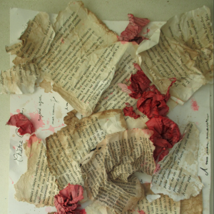 Capture d'écran 2024-10-04 à 17.55.13