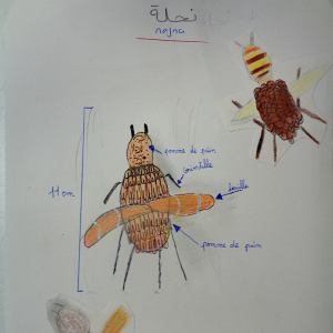 Yaman-Cezar-Swan-5M