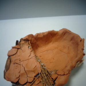 Maiwennet Shahyna (2)