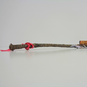 amira-1