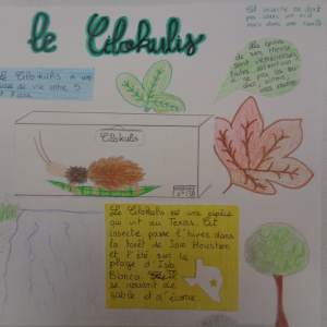 Gaia—Thanh-Uyen-5M