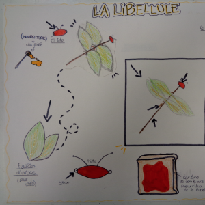 Maroua-Margot-5A-