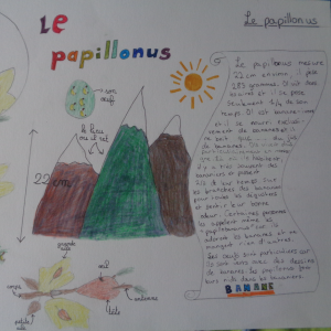Louise-Albane—5S