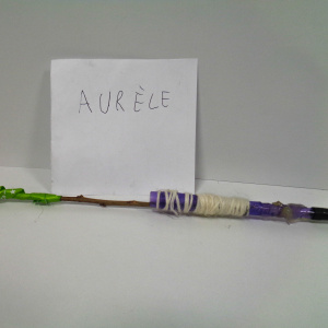 aurele-2